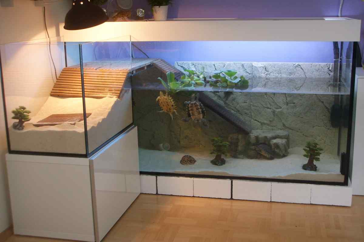 Як зробити акваріум для черепах