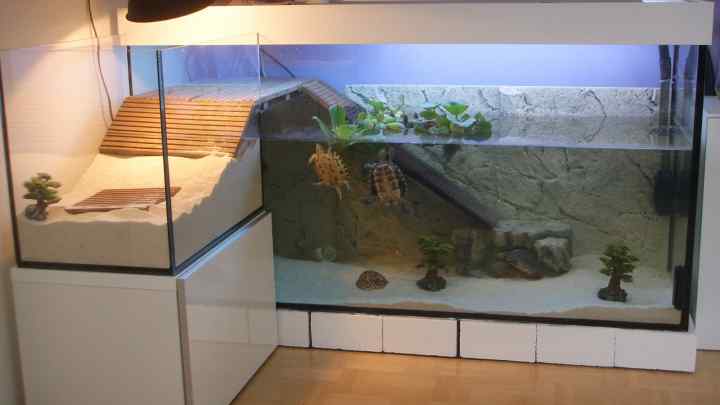 Як зробити акваріум для черепах