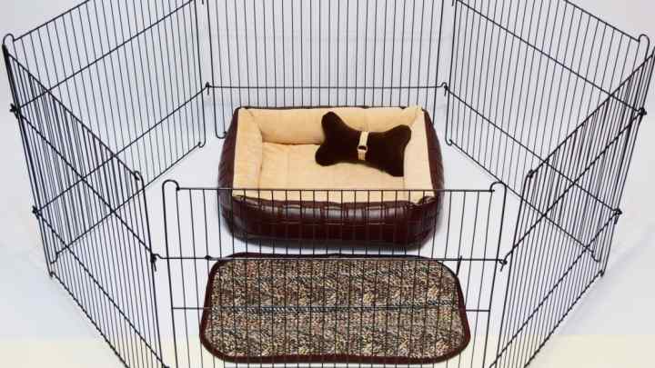 Клітина для собаки: розкіш або необхідність