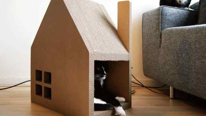 Як зробити будинок для кішок своїми руками