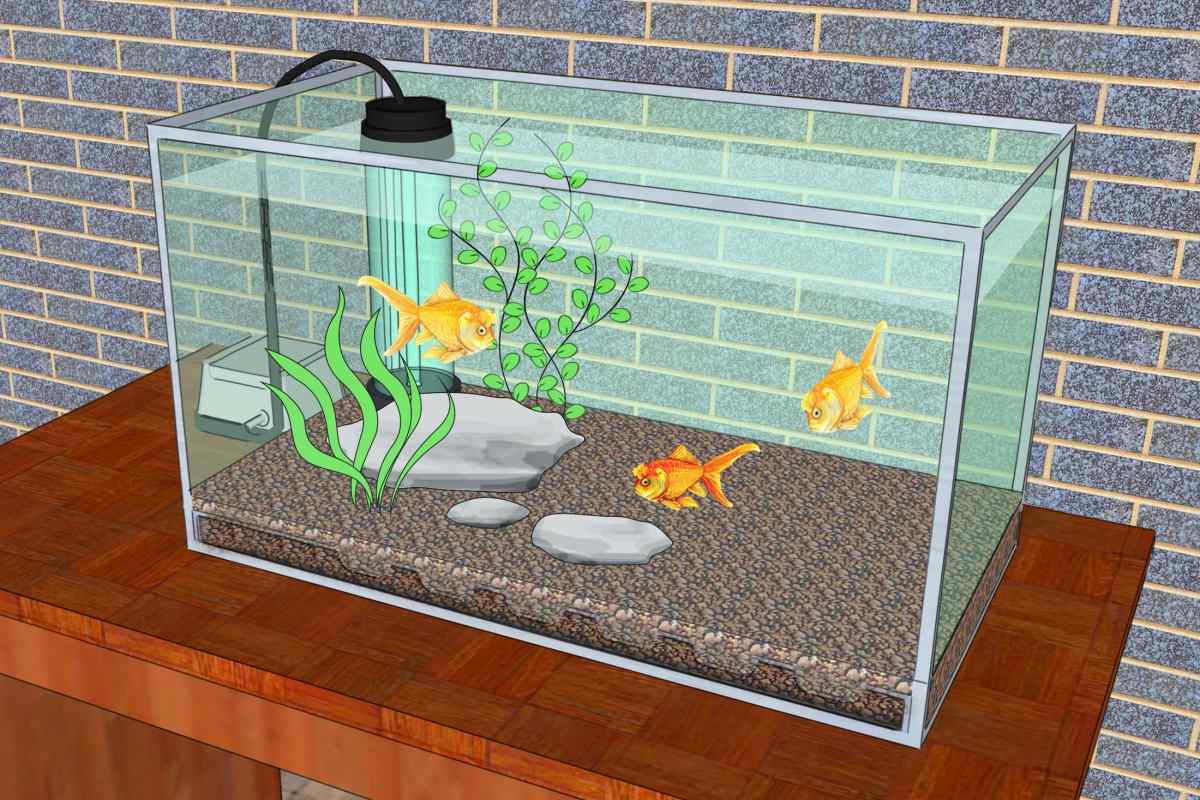 Як охолодити воду в акваріумі