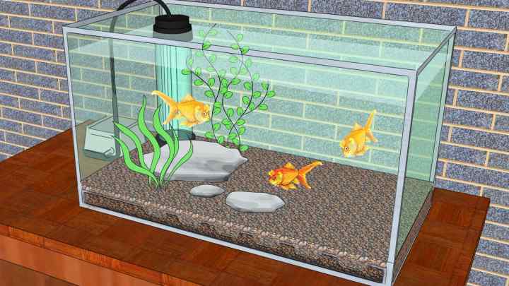 Як охолодити воду в акваріумі
