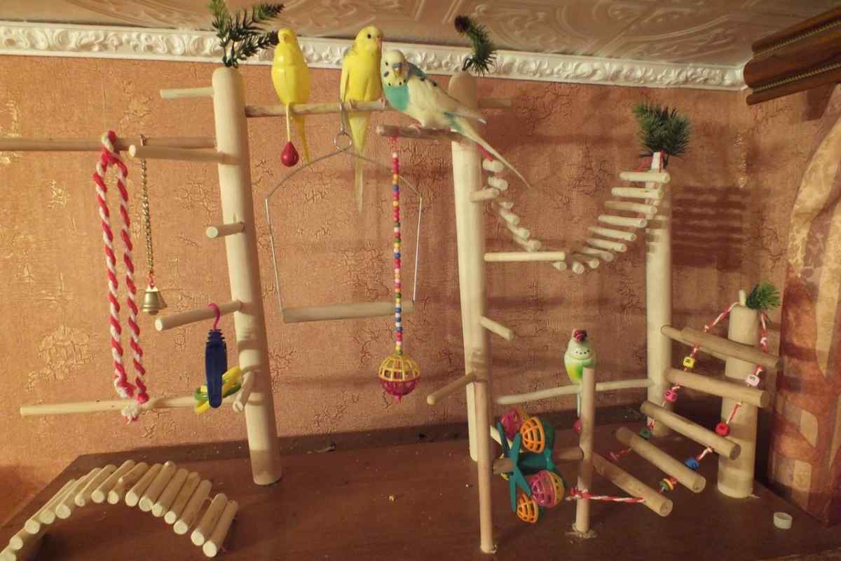 Як зробити ігровий майданчик для папуг