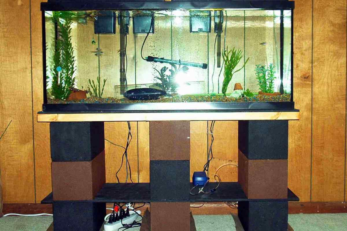 Як зробити акваріум самостійно