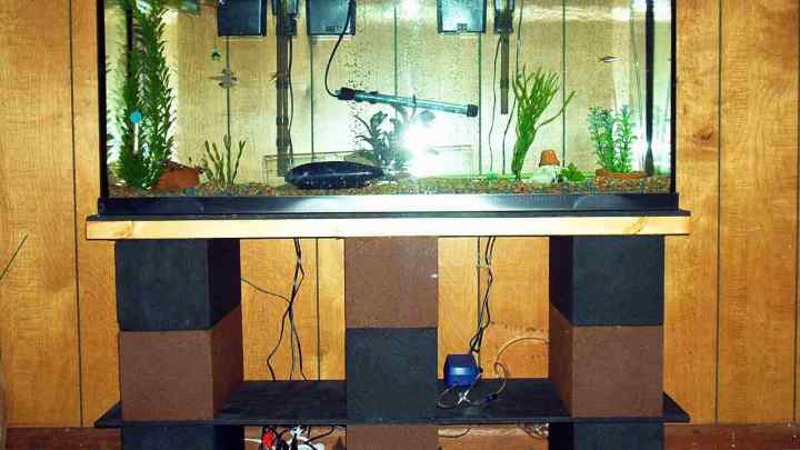 Як зробити акваріум самостійно