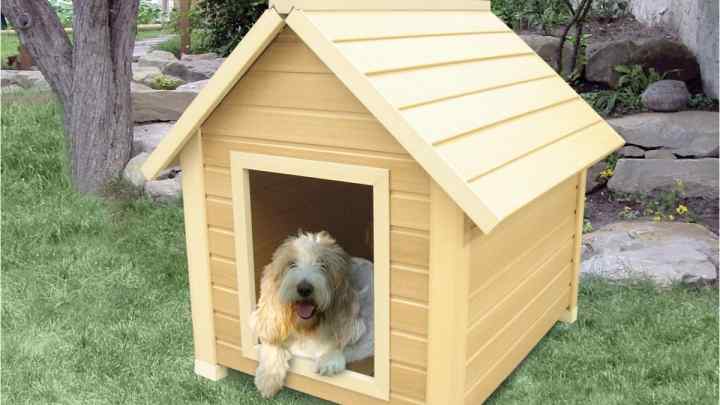 Як побудувати для собаки конуру
