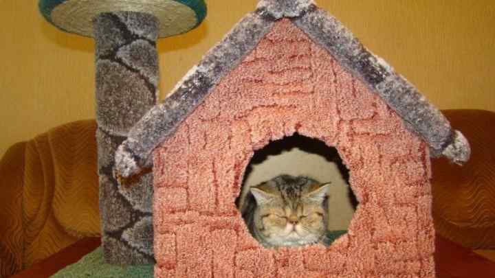 Як зробити котячий будиночок