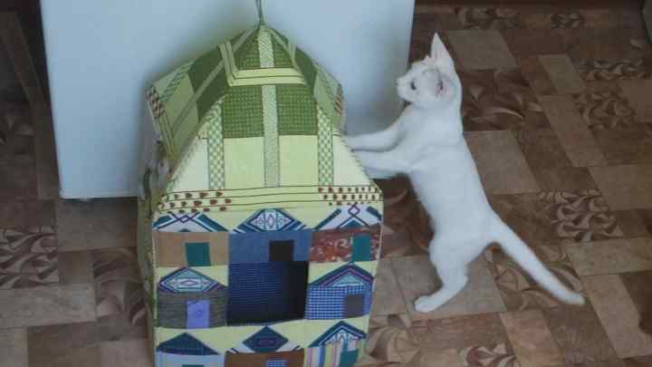 Як просто зробити будинок для кішки