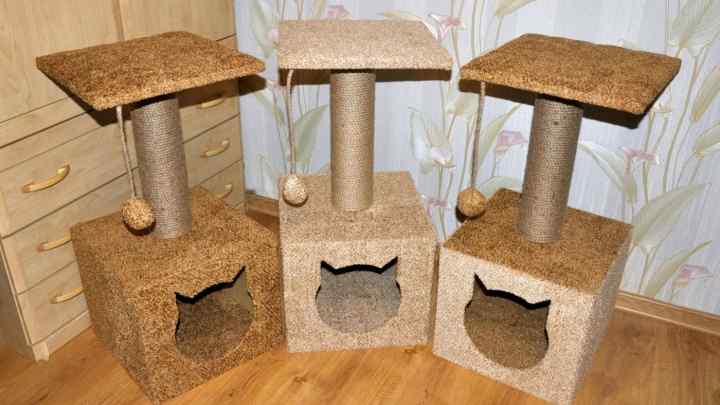 Як зробити будиночок для кошеняти