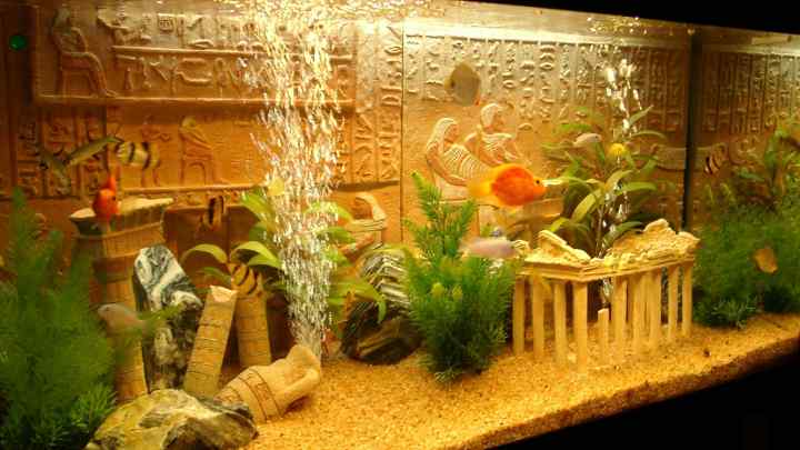 Як зробити декорації для акваріума