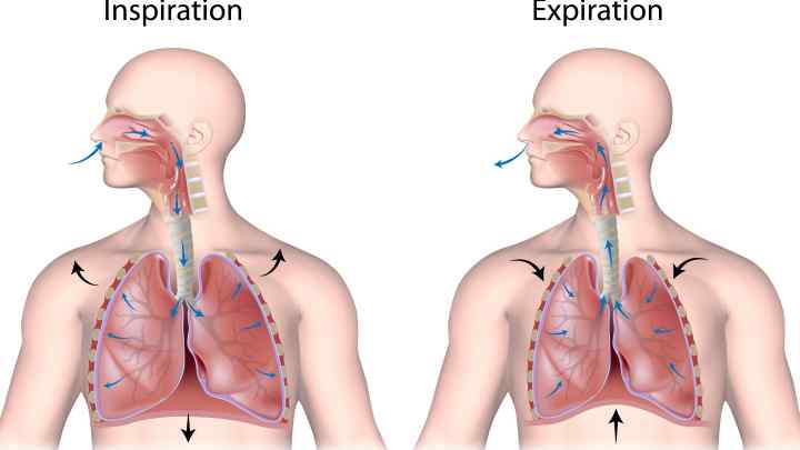 Як затримувати дихання