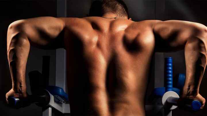 Як тренувати спину