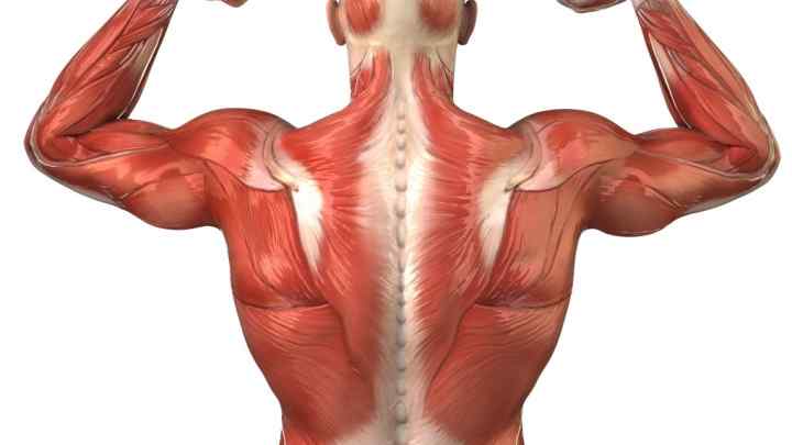 Як накачати плечові м 'язи