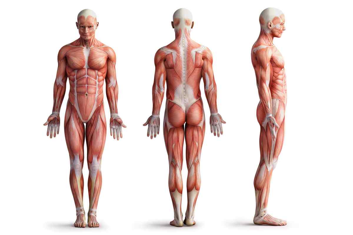 Як привести своє тіло у форму