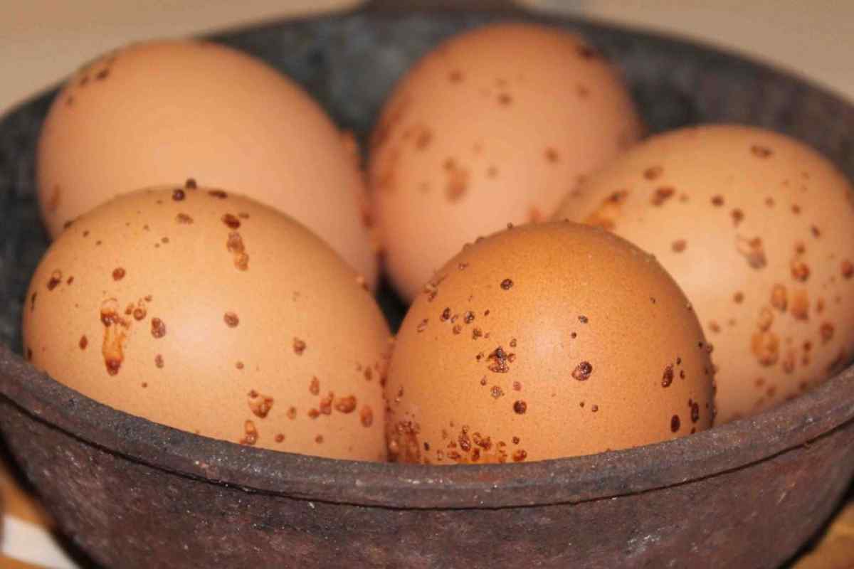 Як приготувати печені яйця