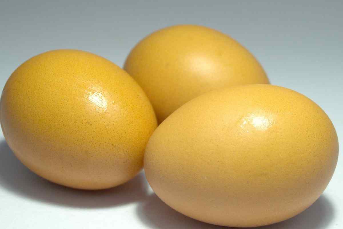 Яйця в "футлярі"