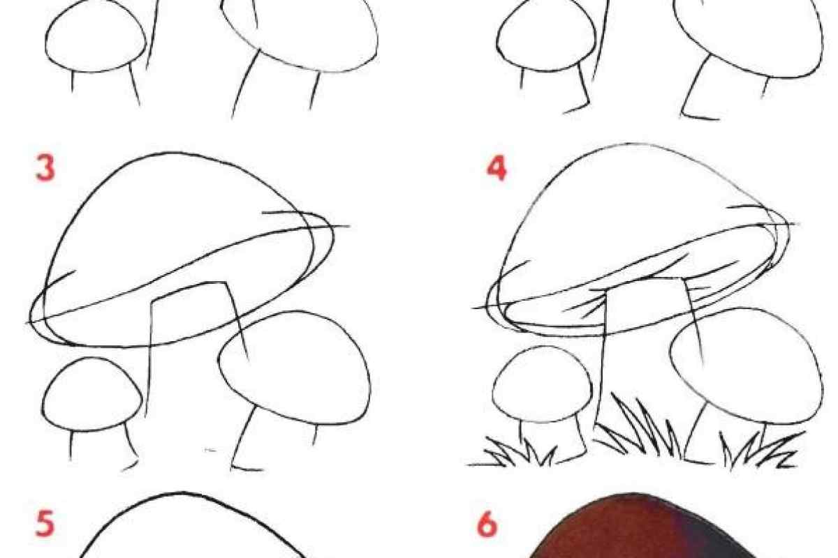 Як засалювати гриби