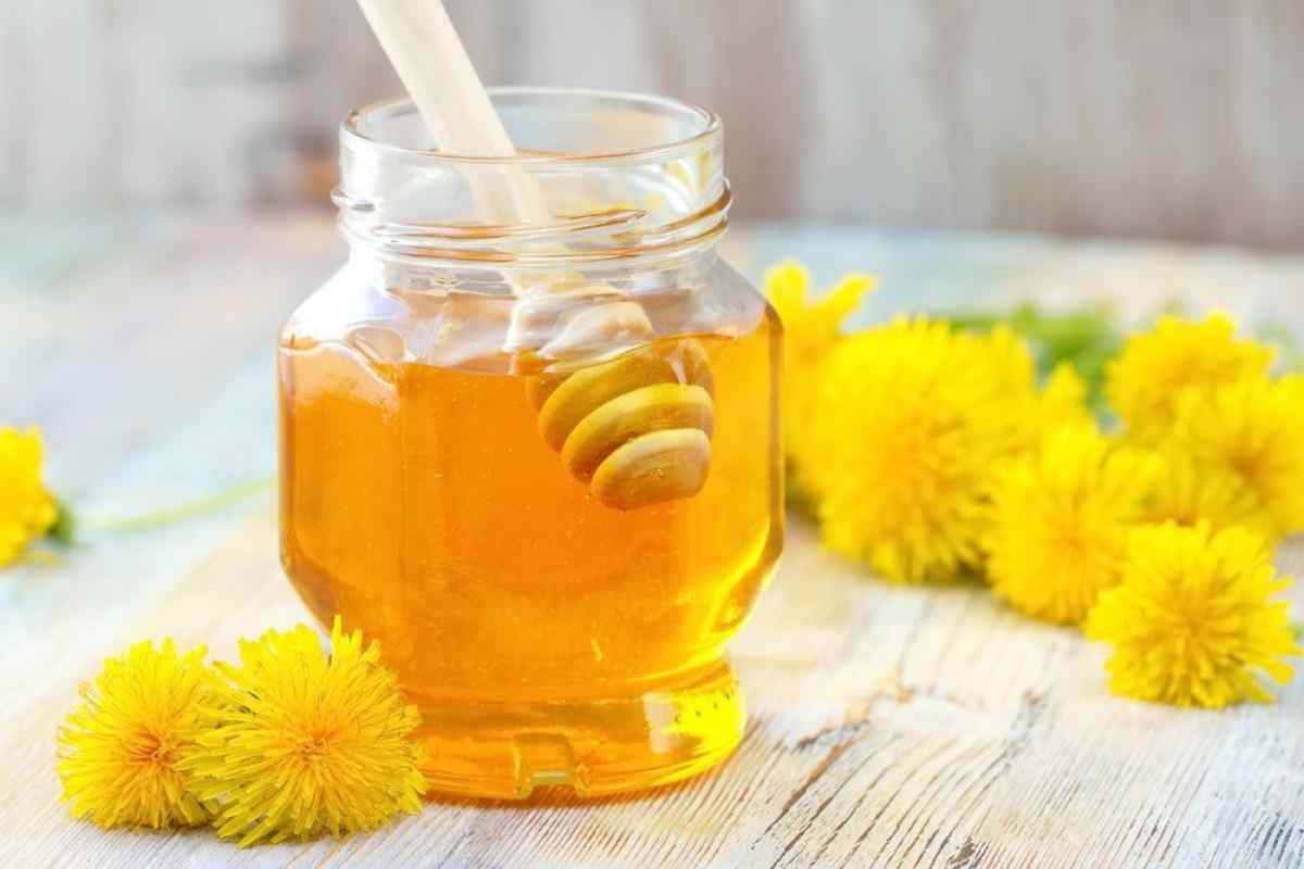 Як приготувати мед з одуванчиків