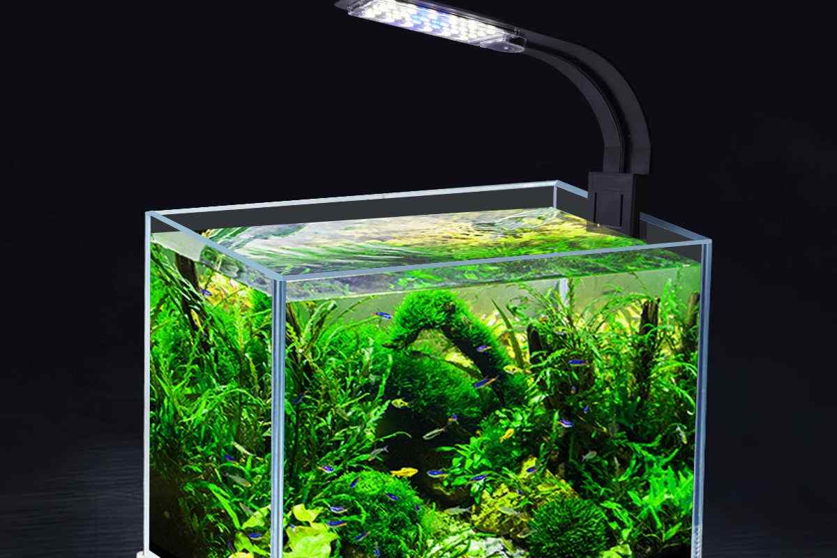 Як вибрати лампу в акваріум