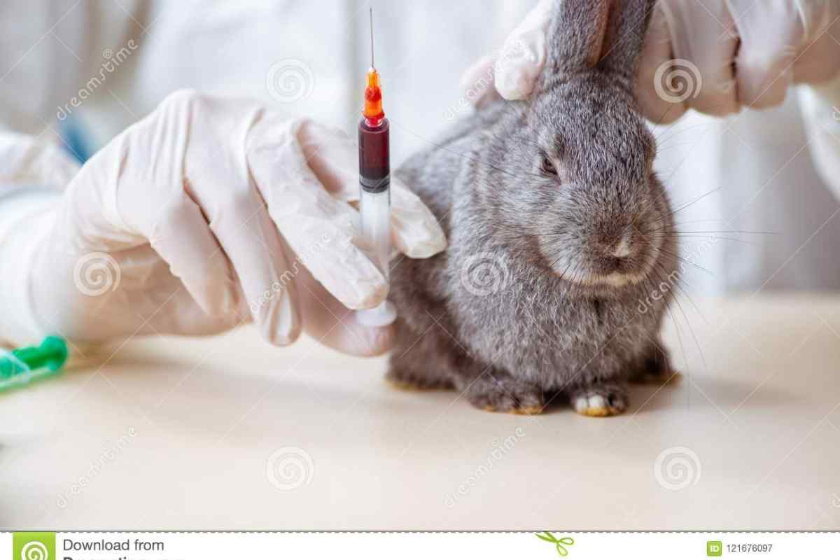 Миксоматоз кроликов вакцинация