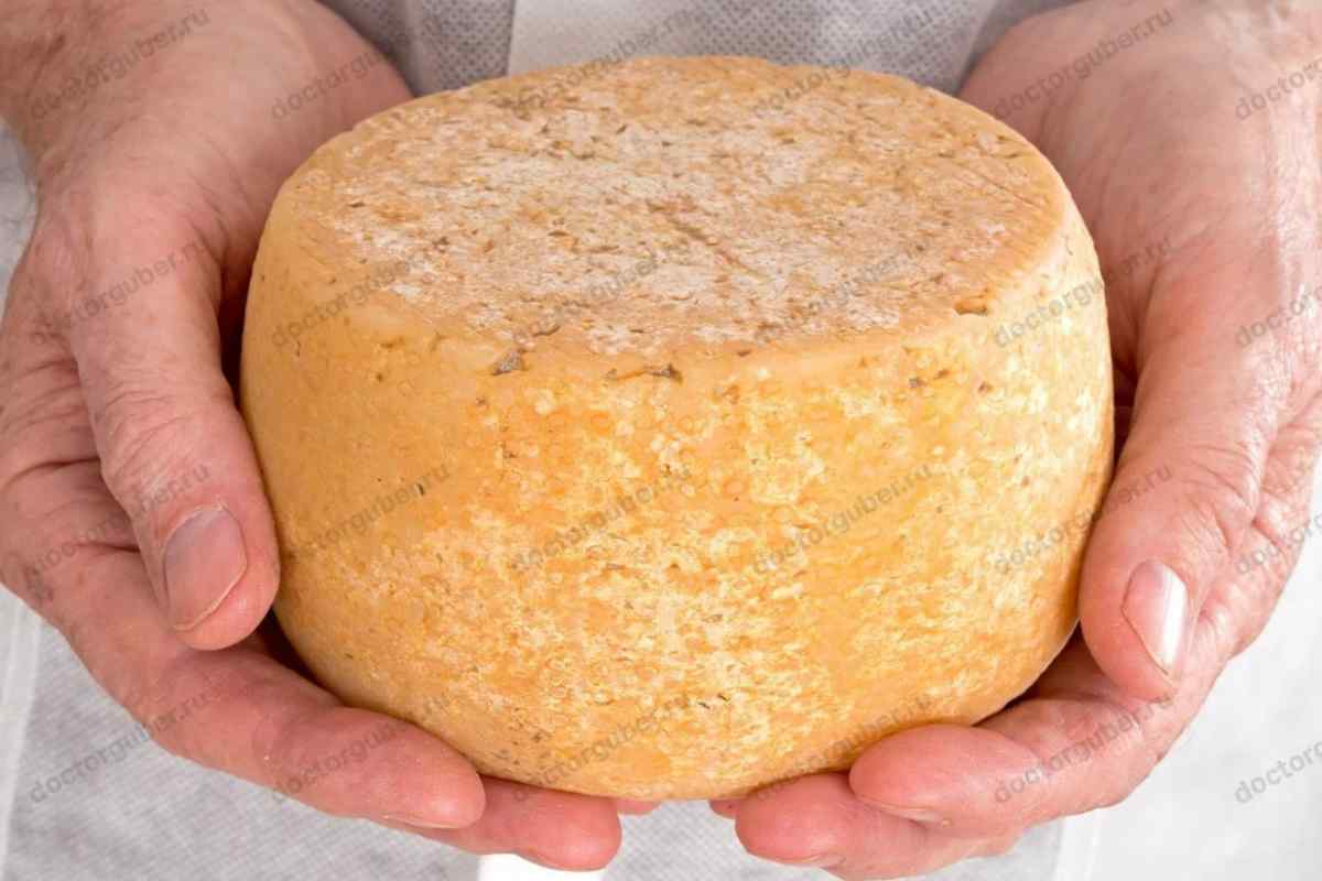Як зробити домашній сир