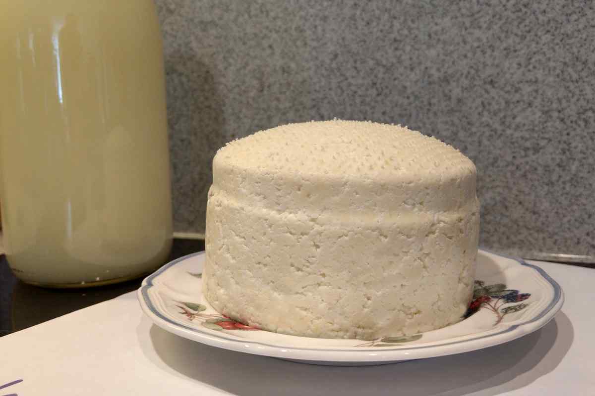 Як зробити домашній сир своїми руками