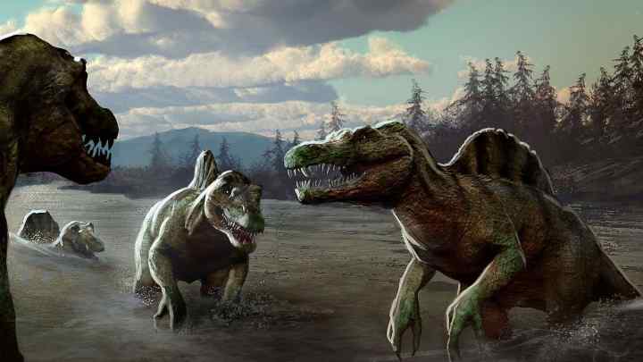 Які були динозаври