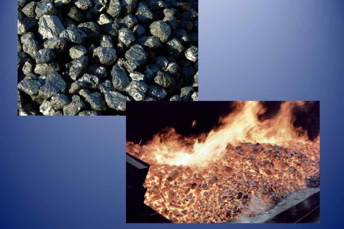 Як утворюється кам "яне вугілля