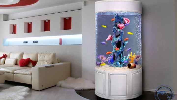 Як вибрати акваріум в дитячу кімнату