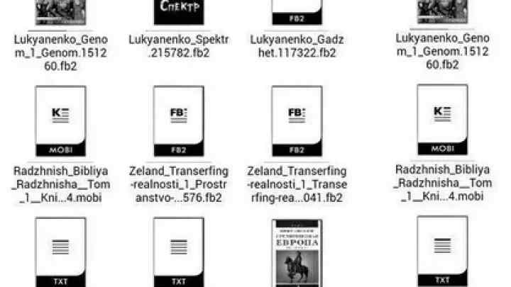 Які особливості у формату FB2 (Fic^ Book) для електронних книг