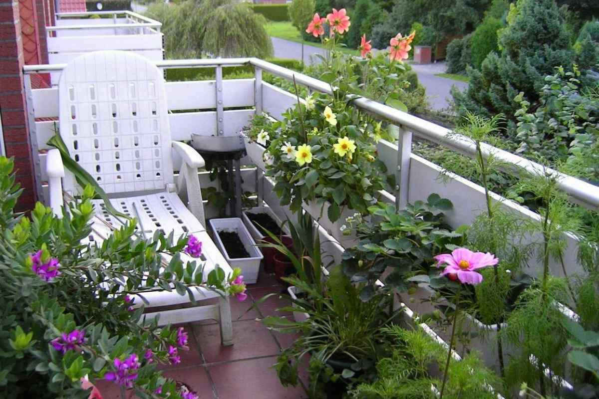 Основні правила та поради при озелененні балкона