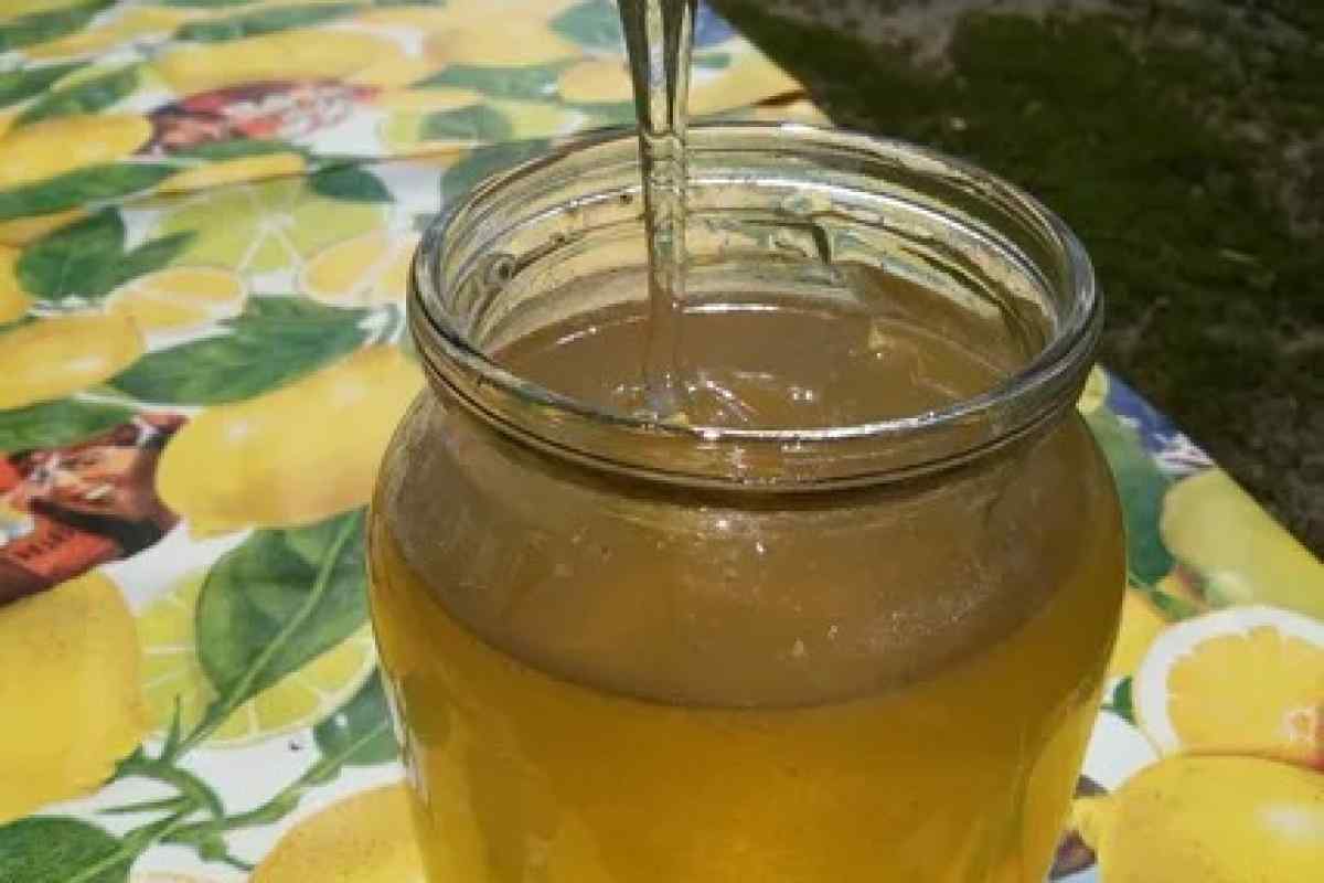 Як приготувати кавунний мед