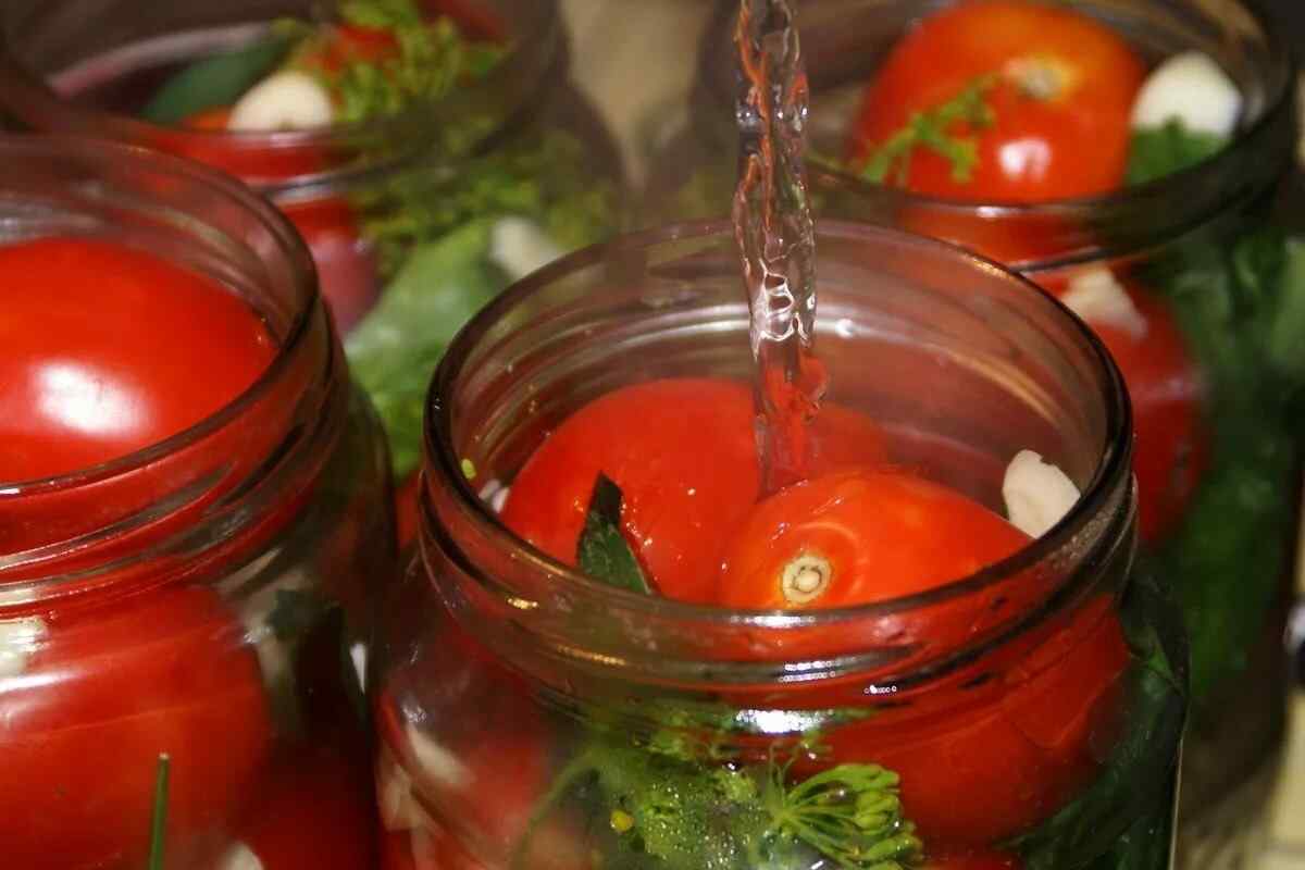 Як зберегти помідори свіжими на зиму