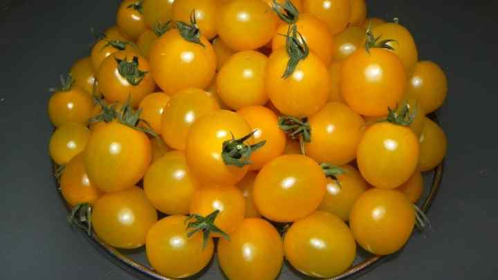 Заготовки з жовтих помідорів на зиму