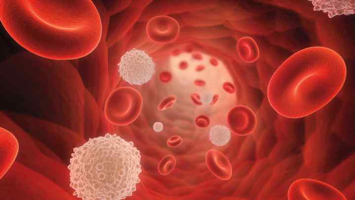 Як підвищити лейкоцити у дитини