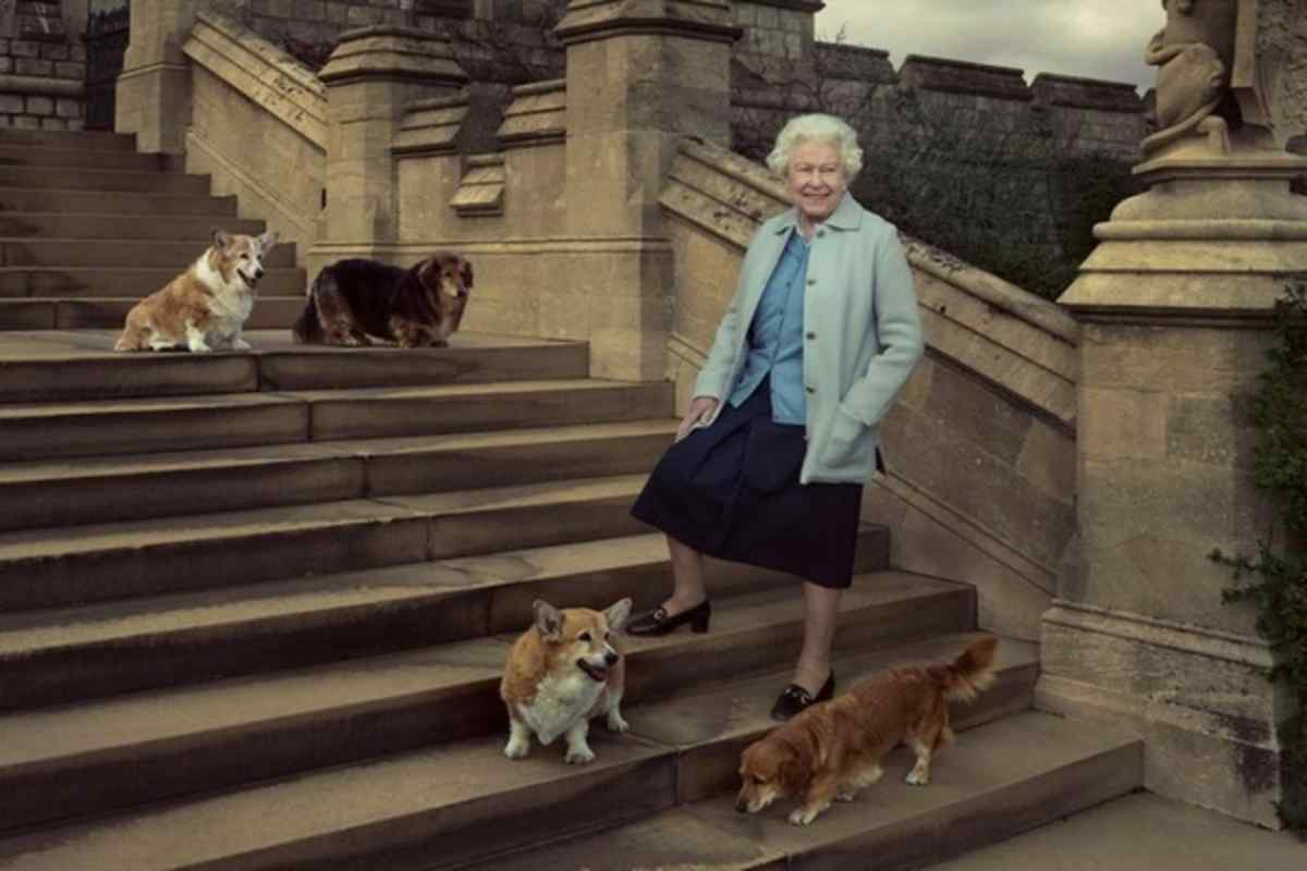 Який породи собака англійської королеви?