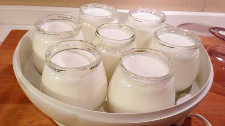 Приготування йогурту в йогуртниці - корисні поради