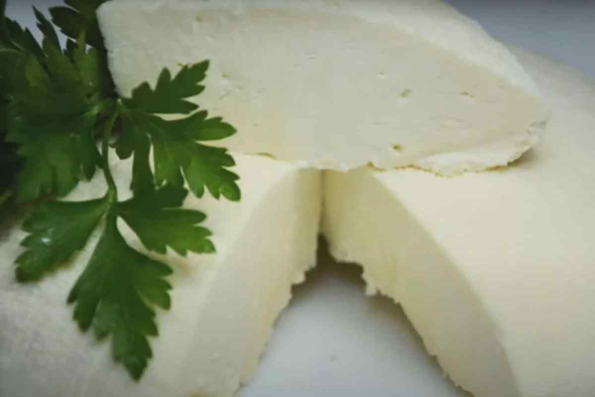 Як зробити сир з молока