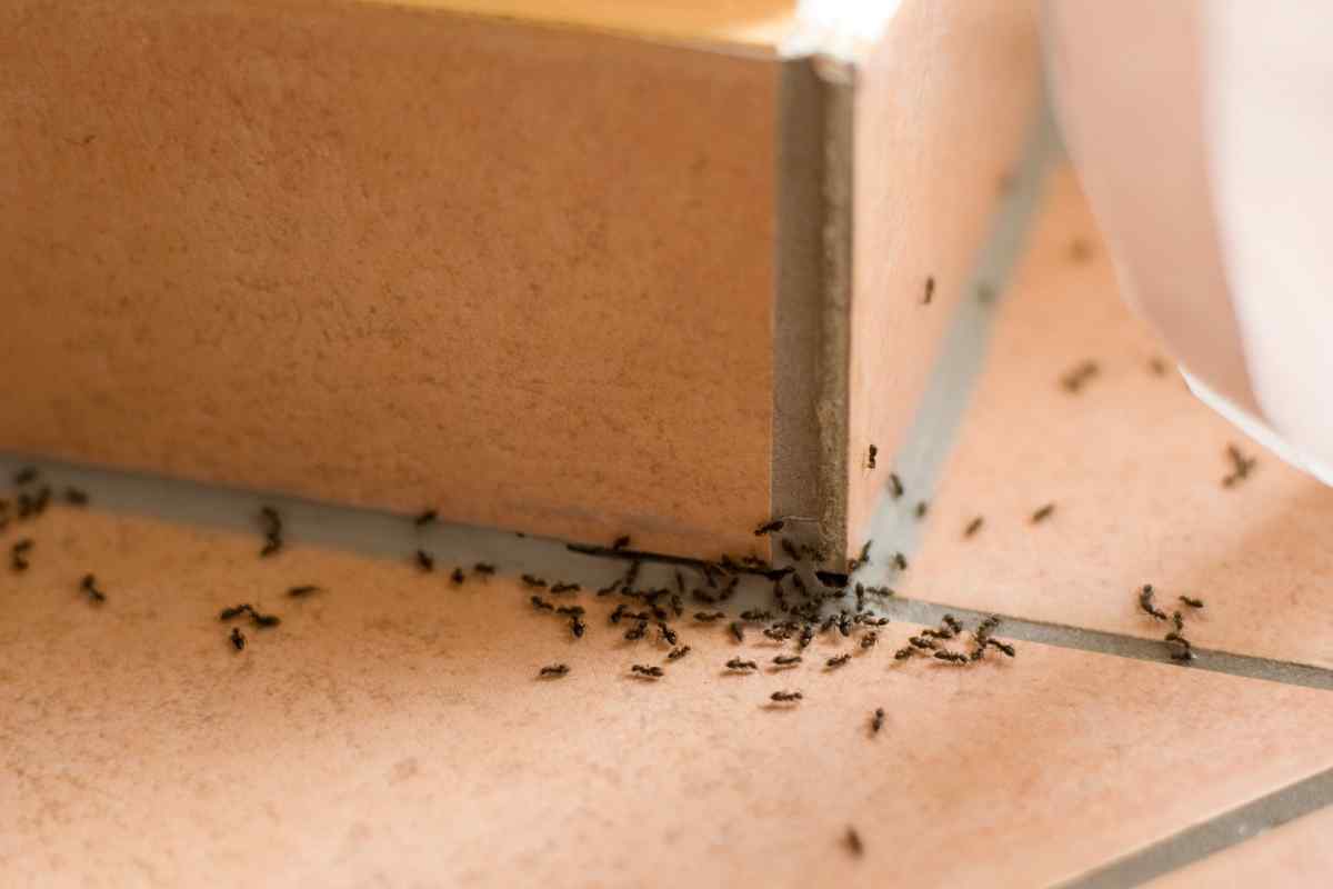 Як позбутися рушників мурашок