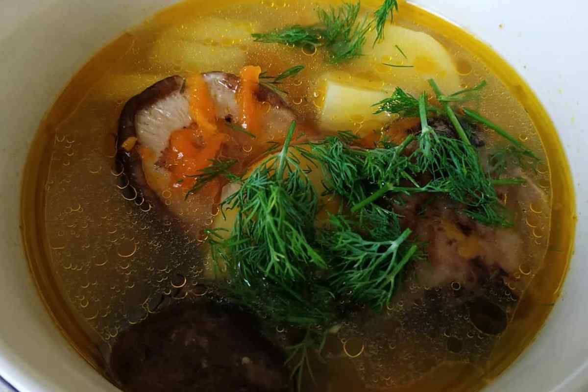 Суп из подберезовиков свежих рецепт с фото пошагово