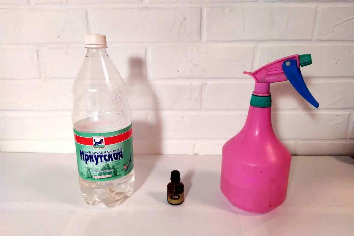 Як прибрати запах нафталіну