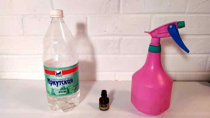 Як прибрати запах нафталіну