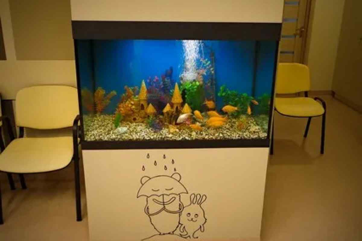 Як вбудувати акваріум у стіну