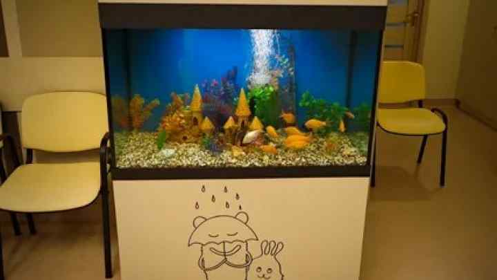 Як вбудувати акваріум у стіну