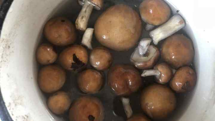 Соковиті гриби в молочній заливці
