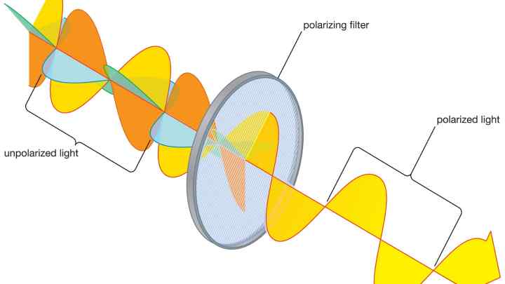 Що таке поляризація діелектрика