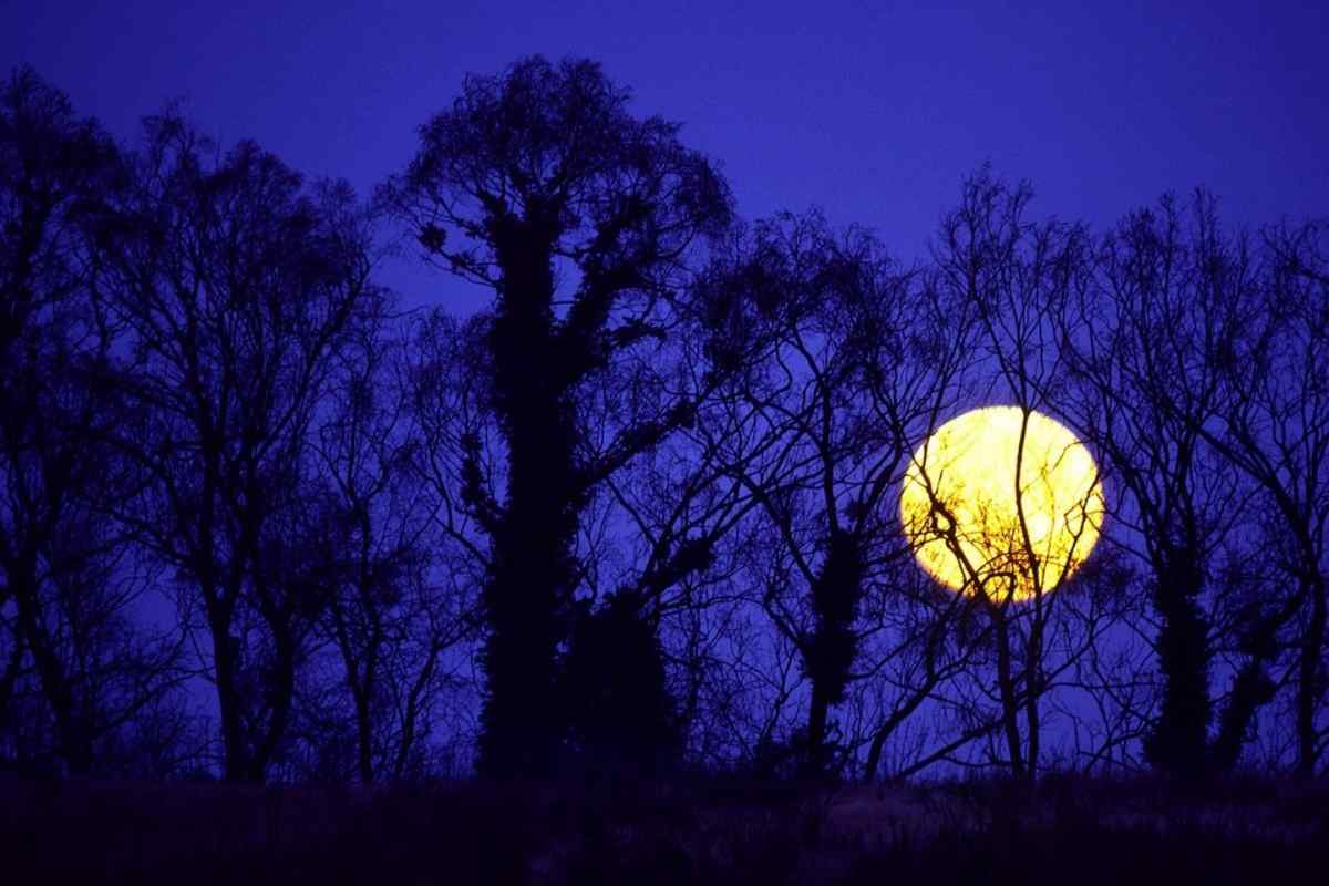 Чому місяць світить вночі