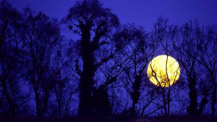 Чому місяць світить вночі