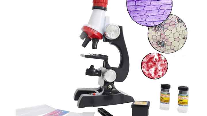 Як визначити збільшення мікроскопа