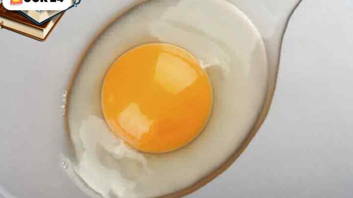 З чого складається яєчний білок